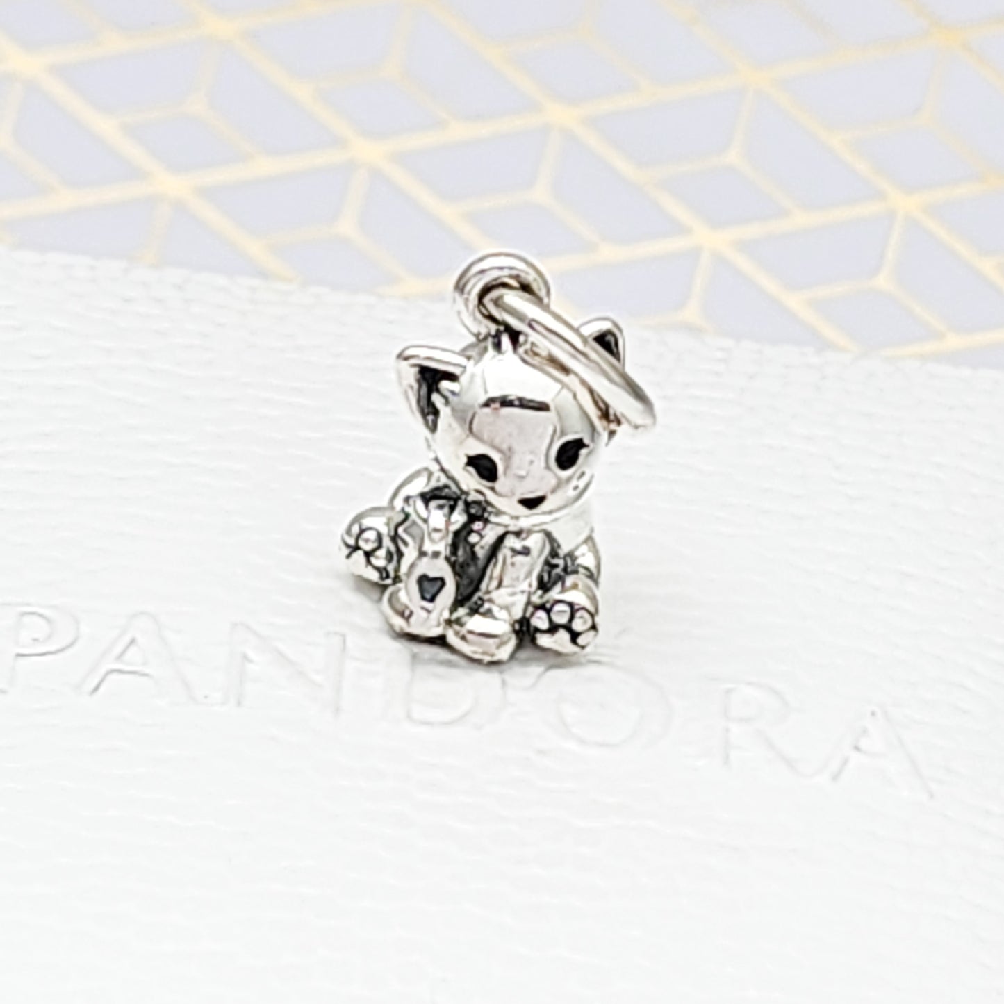Charm Gato
