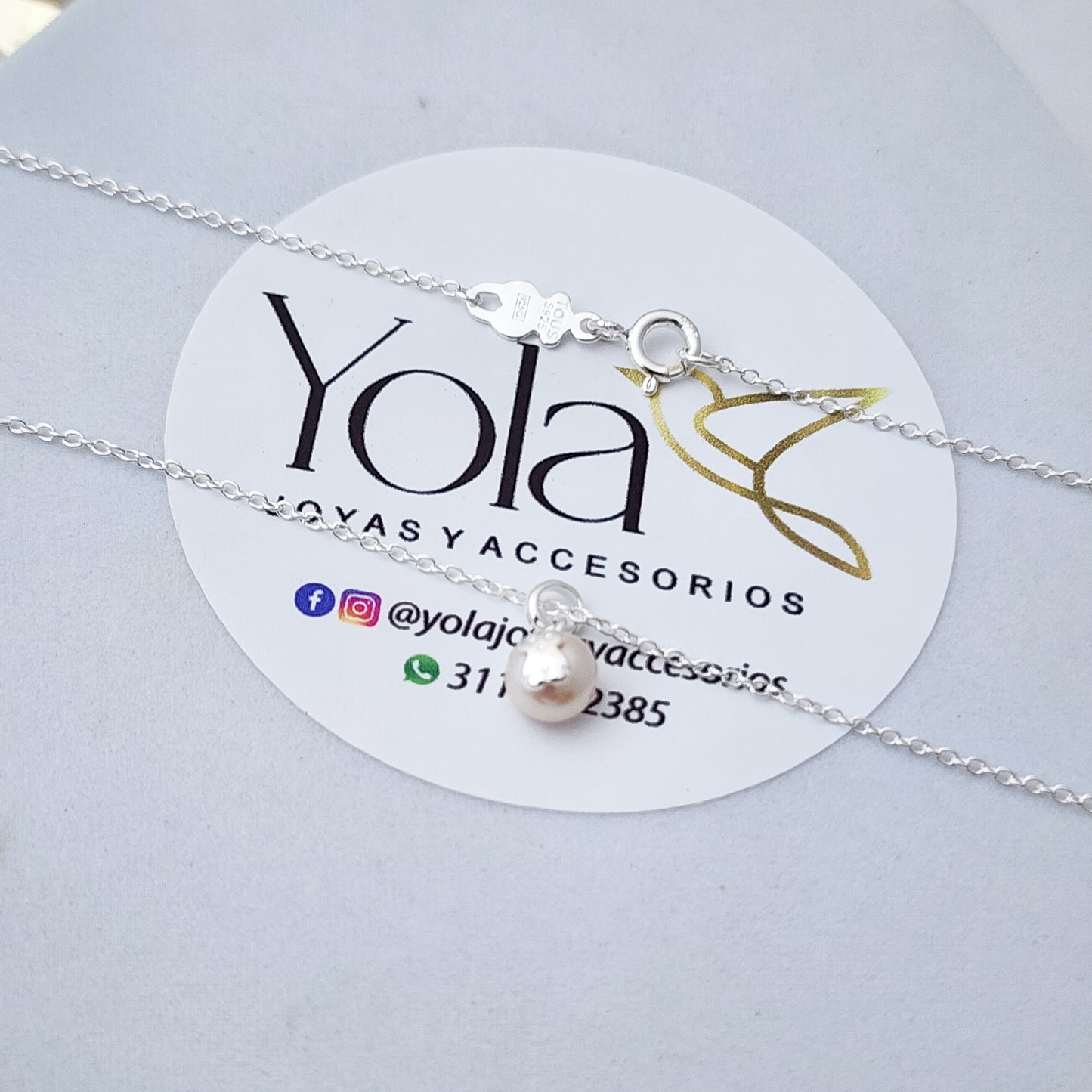 Collar oso