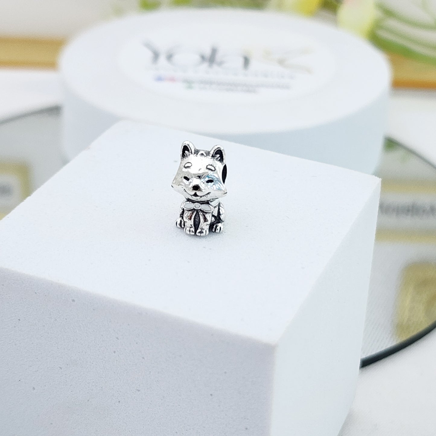 Charm Perro