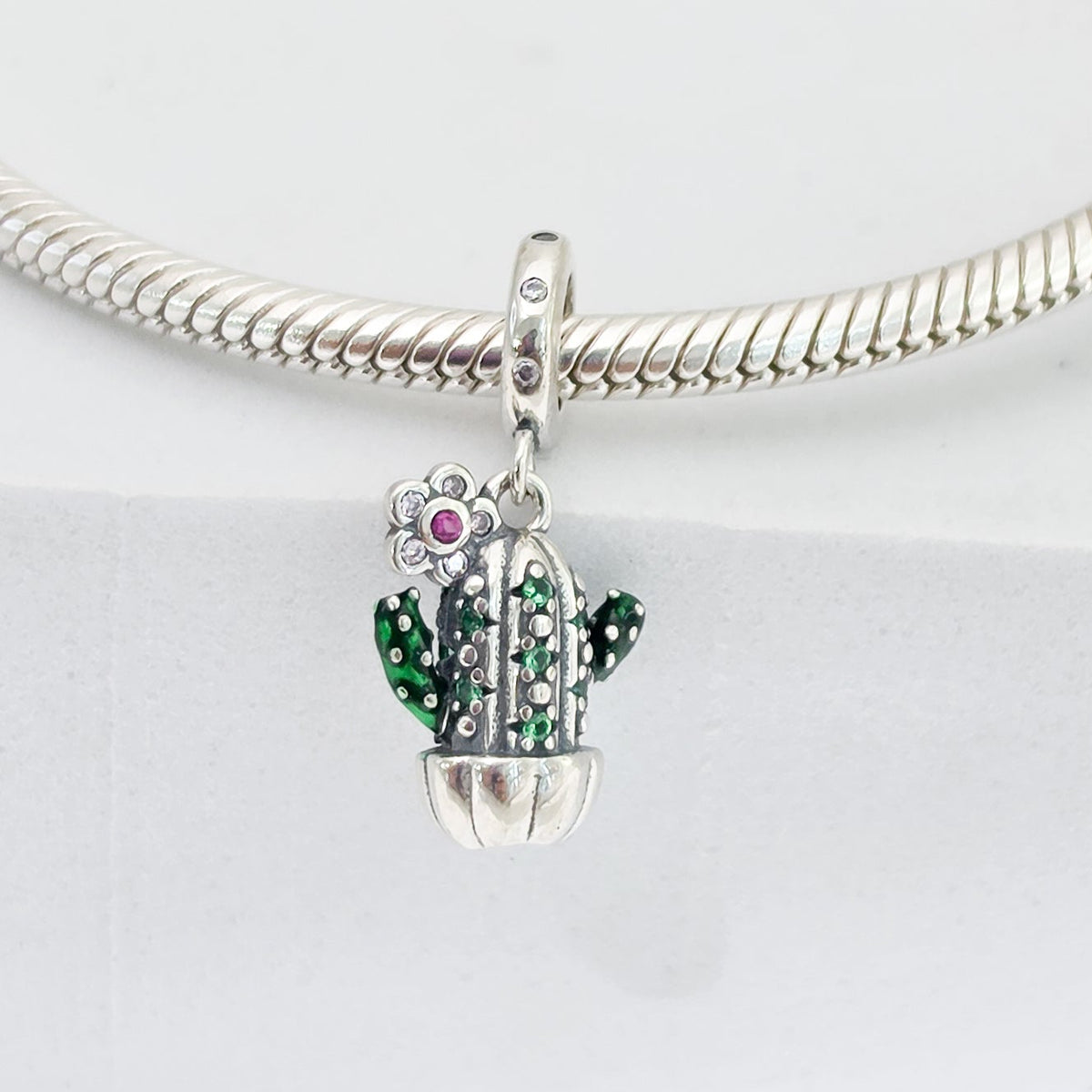 Charm lcactus