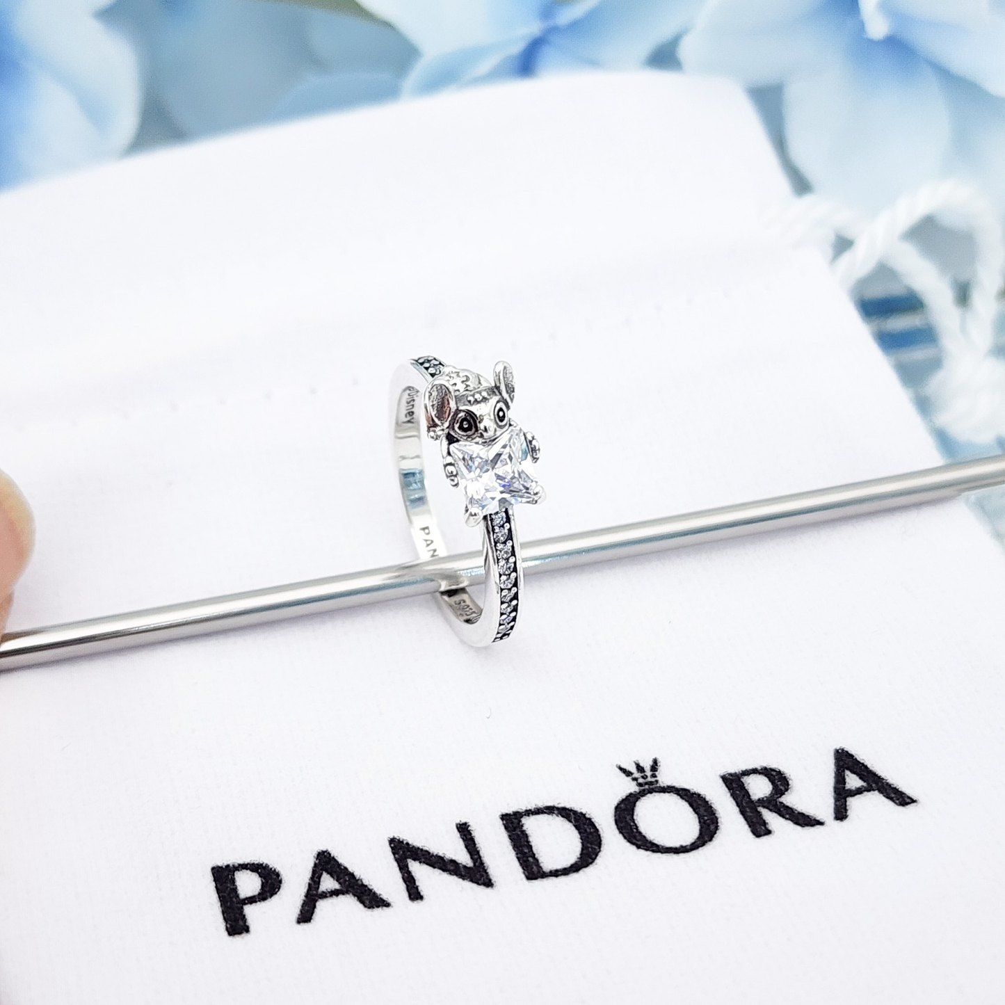 Anillo Stich