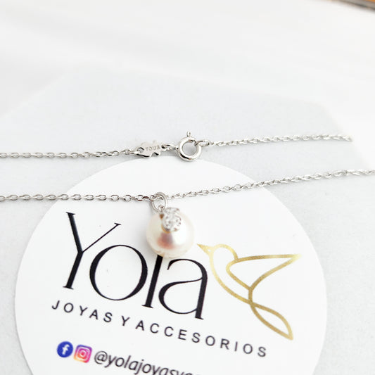 Collar oso