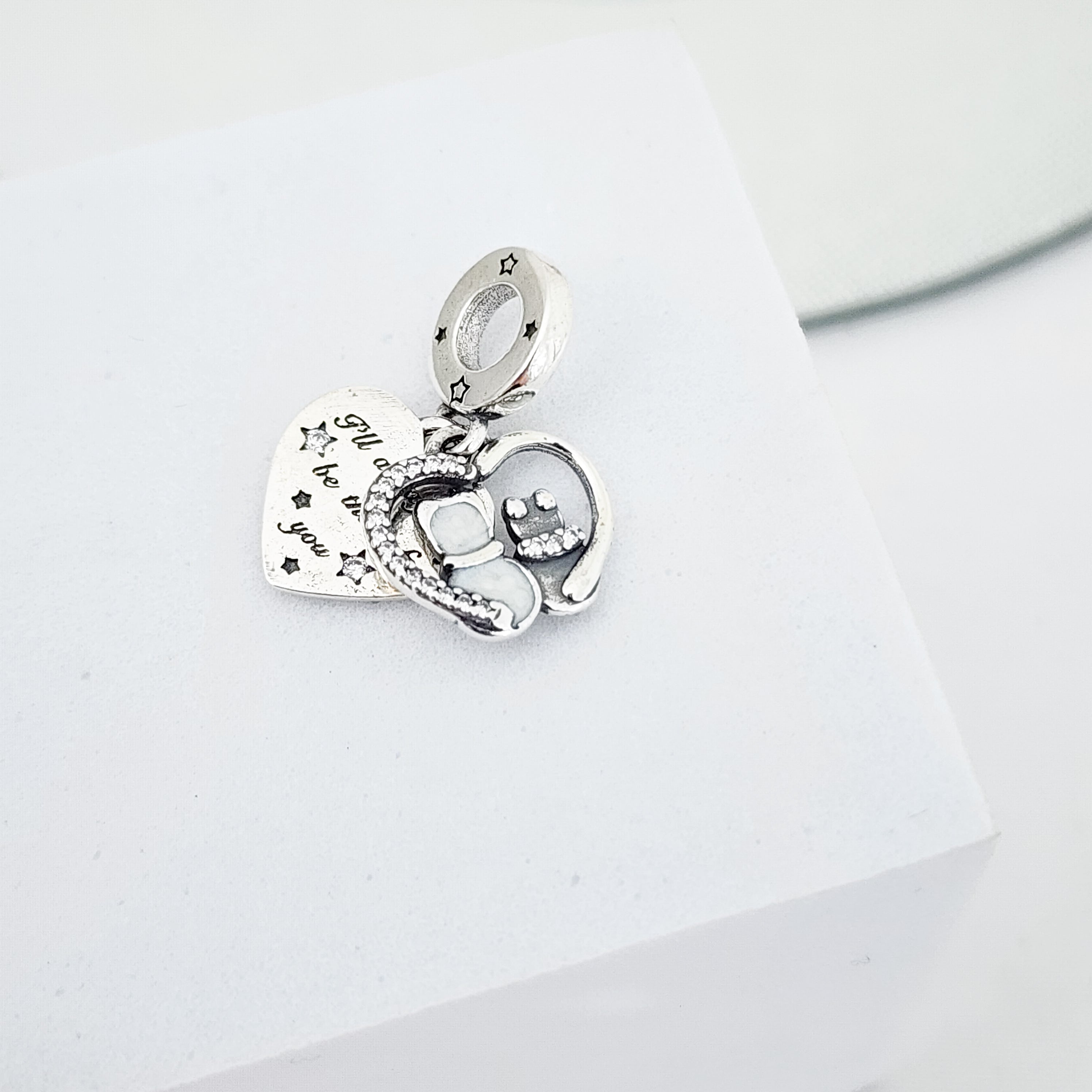 Charm gatos