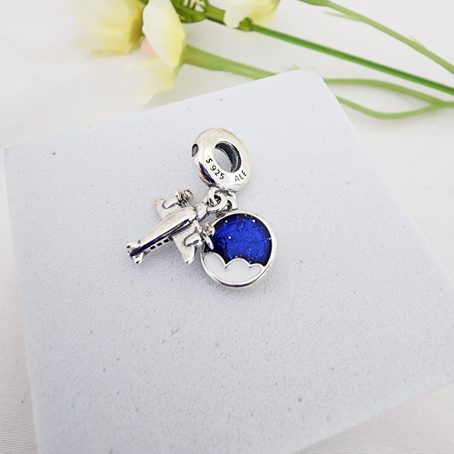 Charm avion