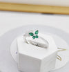 Anillo