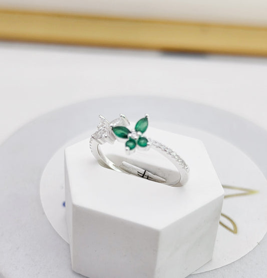 Anillo