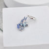 Charm Fenix