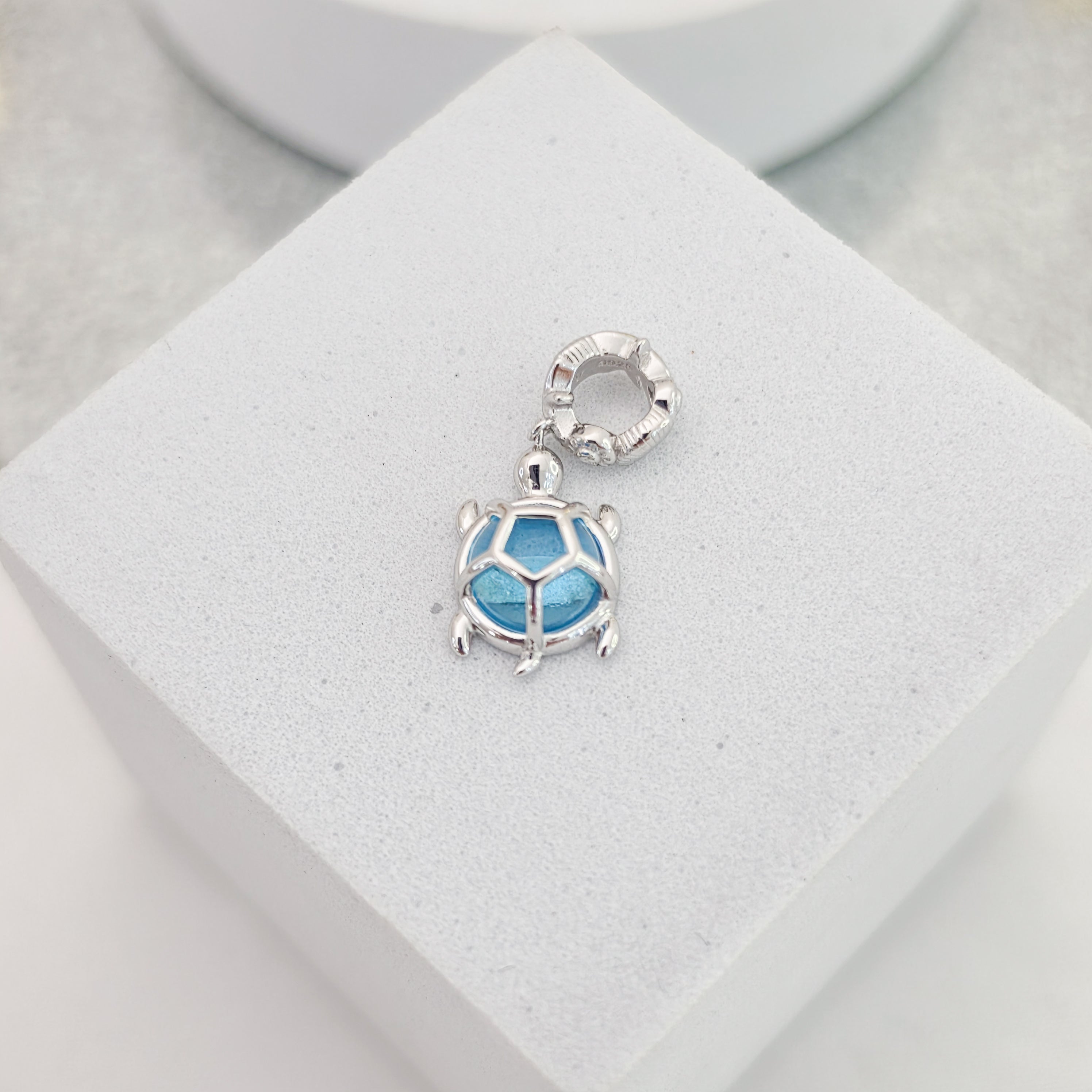 Charm  tortuga