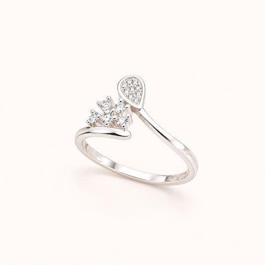 Anillo