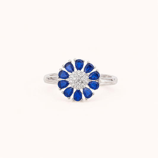 Anillo