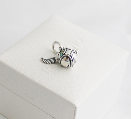 Charm Snitch Harry Potter