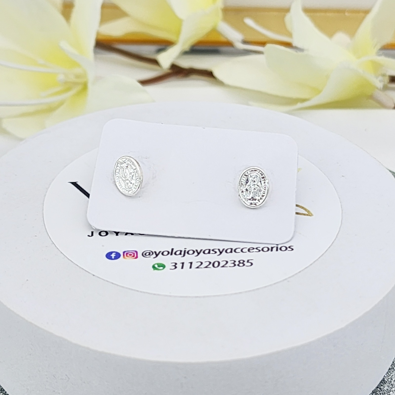 Topo Seguridad Virgen Milagrosa