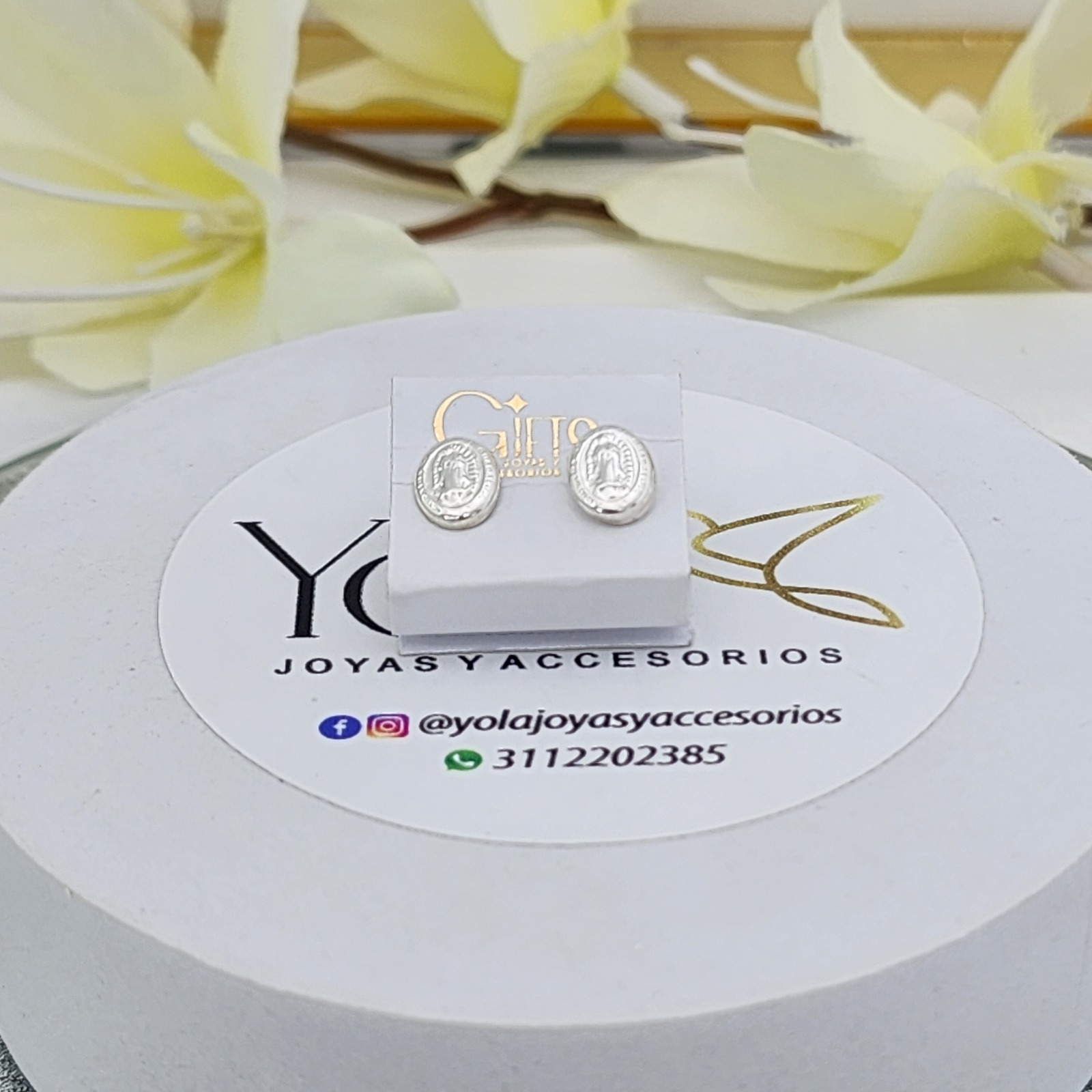 Topo Seguridad Virgen Guadalupe